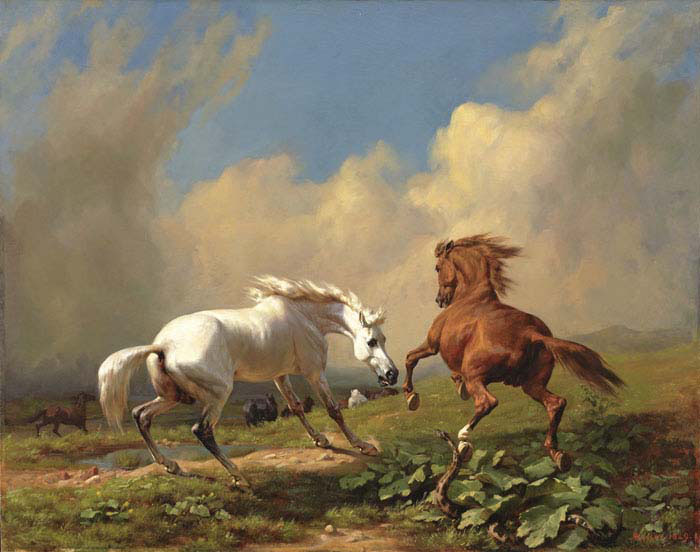 horses in storm